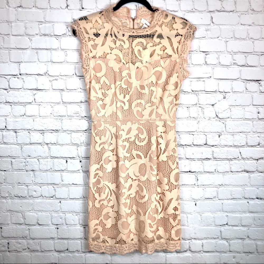 Anthropologie | Lace Dress